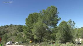 GEACAM limpia los montes