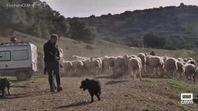 Ana y Roberto, vuelven a sus raíces en Valdeolivas