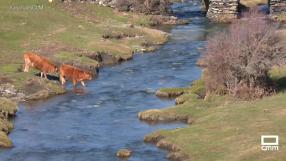 Comienza el deshielo en la zona norte de Guadalajara