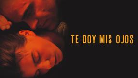 Pilar (Laia Marull) está casada con Antonio (Luis Tosar) y tiene un hijo con él de 8 años. Ella no lo sabe pero está sufriendo episodios constantes de malos tratos. Una noche, desesperada y asustada, huye de su casa y se presenta en casa de su hermana Ana (Candela Peña) quien le da cobijo durante un tiempo. En ese tiempo, Pilar encuentra un trabajo temporal y Antonio acude a terapia. Poco a poco comienza a desarrollarse de nuevo el ciclo de la violencia con otro periodo de reconquista por parte de Antonio y posterior luna de miel, que desencadenará finalmente en otro momento de maltrato. 