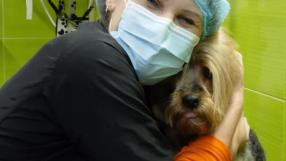 ¿Cambio de look? Ponte guapi en la peluquería canina