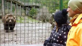 Los 12 osos del Parque de Fauna El Hosquillo