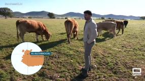Un día en el campo con Jesús y su ganadería en El Alcornocal