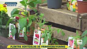 Huertos en el jardín