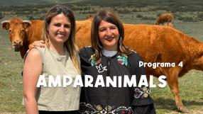 Amparanimals - Programa 4