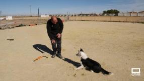 ¿Perros con problemas? Aquí tienes la solución