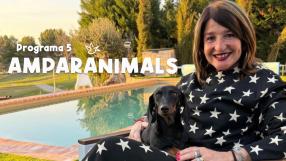 Amparanimals - Programa 5