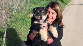 Perros carea, los mejores pastores de raza castellanomanchega