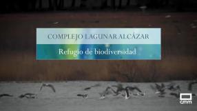 Complejo lagunar de Alcázar, refugio de biodiversidad