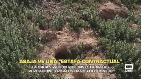 ASAJA pide investigar las peritaciones por los daños del conejo - 15/05/2026