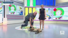 La llegada del calor también afecta a las mascotas