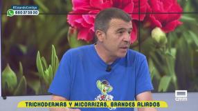Hongos beneficiosos para mejorar la salud de las plantas
