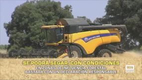 Se podrá segar, con condiciones - 29/05/2026