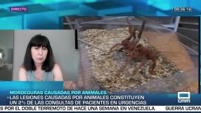 Entrevista a Encarnación Carreño -2/7/2026