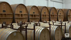 De Cabañeros a La Mancha: un recorrido entre vinos, sabores e historia
