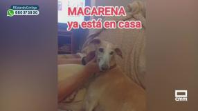 La increíble historia de Macarena y Amparanimals