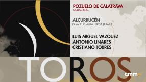 Toros desde Pozuelo de Calatrava (18/07/2026)