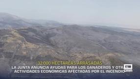 El campo - 22/07/2026