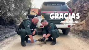 Gracias por ayudar y proteger también a los animales