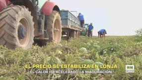 El campo - 06/08/2026