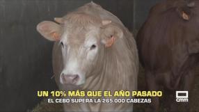 El campo - 07/08/2026