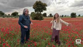El camino de la garnacha mentridana