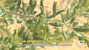 El campo - 13/08/2026