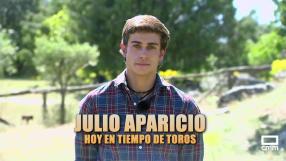 Tiempo de toros (15/08/2026)