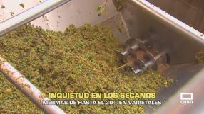 Inquietud en los secanos, mermas de hasta el 30 % en varietales - 14/08/2026