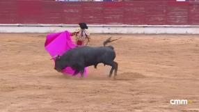 Novillada mixta desde Sigüenza (15/08/2026)