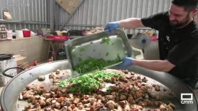 Las fiestas de Bogarra comienzan con su tradicional comida de peñas