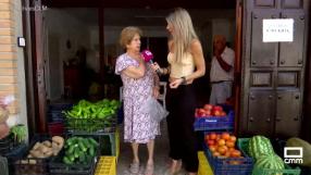 Buena cosecha de tomates en La Puebla de Montalbán