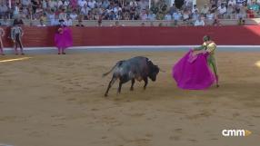Novillada desde Villaseca de la Sagra