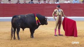 Novillada desde Villaseca de la Sagra (04/09/2026)