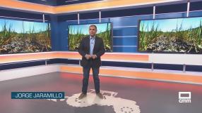 El campo - 08/09/2026