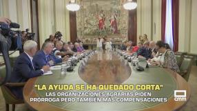Organizaciones agrarias: "Las ayudas se han quedado cortas" - 22/09/2026