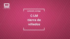 Castilla-La Mancha, tierra de viñedos
