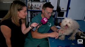 "Arte canino" recorre la región sobre cuatro ruedas
