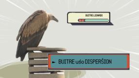 ¿Qué ha pasado con el buitre rescatado en Albacete?