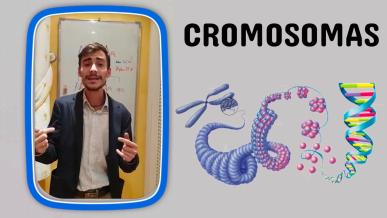 Eco Prog. 10 | Cromosomas