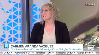 Entrevista a Carmen Aranda Vázquez
