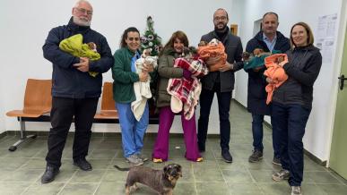 Festival de cachorros en Emperrados