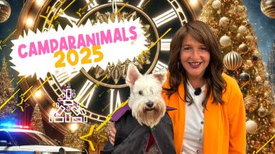 CAMPARANIMALS 2025: Amparo de Aguilar y Llanetes darán las campanadas en CMMPlay