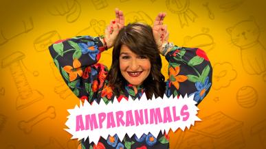 Amparanimals con Amparo de Aguilar celebra su primer aniversario en CMMPlay