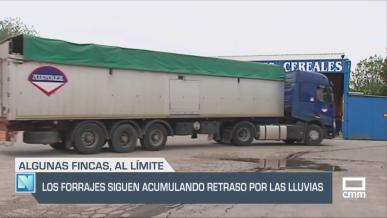 Los forrajes siguen acumulando retrasos por las lluvias - 09/05/25