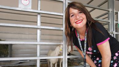 Especial Expovicaman con Amparanimals: cabras, ovejas, caballos y perros
