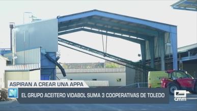 El grupo aceitero Vidabol suma tres cooperativas de Toledo - 29/05/25