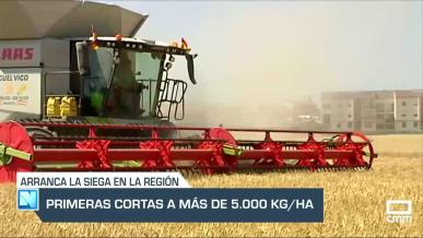 Comienza la siega en la región - 30/05/25