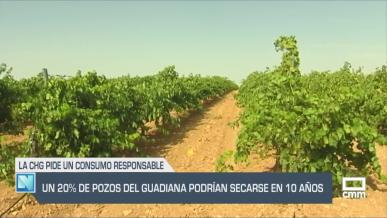 El 20 % de los pozos del Guadiana podría secarse en 10 años - 16/06/25