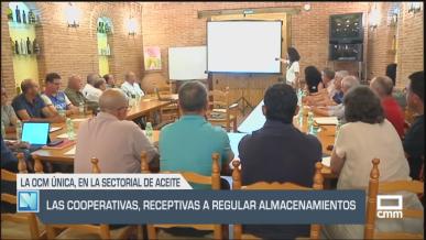 Las cooperativas, receptivas a regular almacenamientos - 17/06/2025